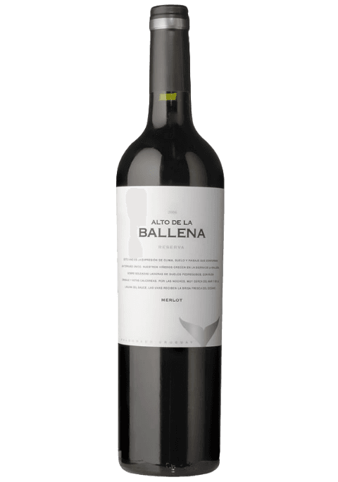 Alto de la Ballena Reserve Merlot