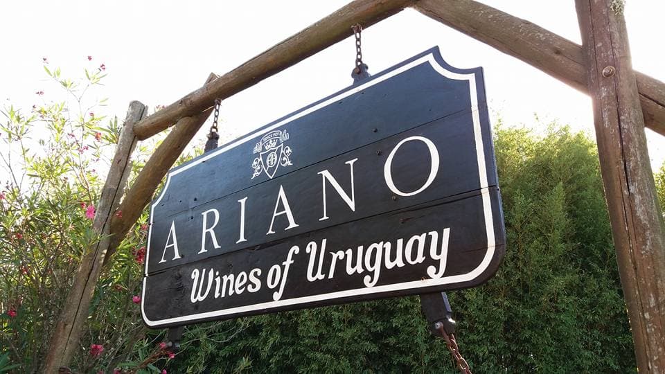 BODEGA ARIANO HERMANOS