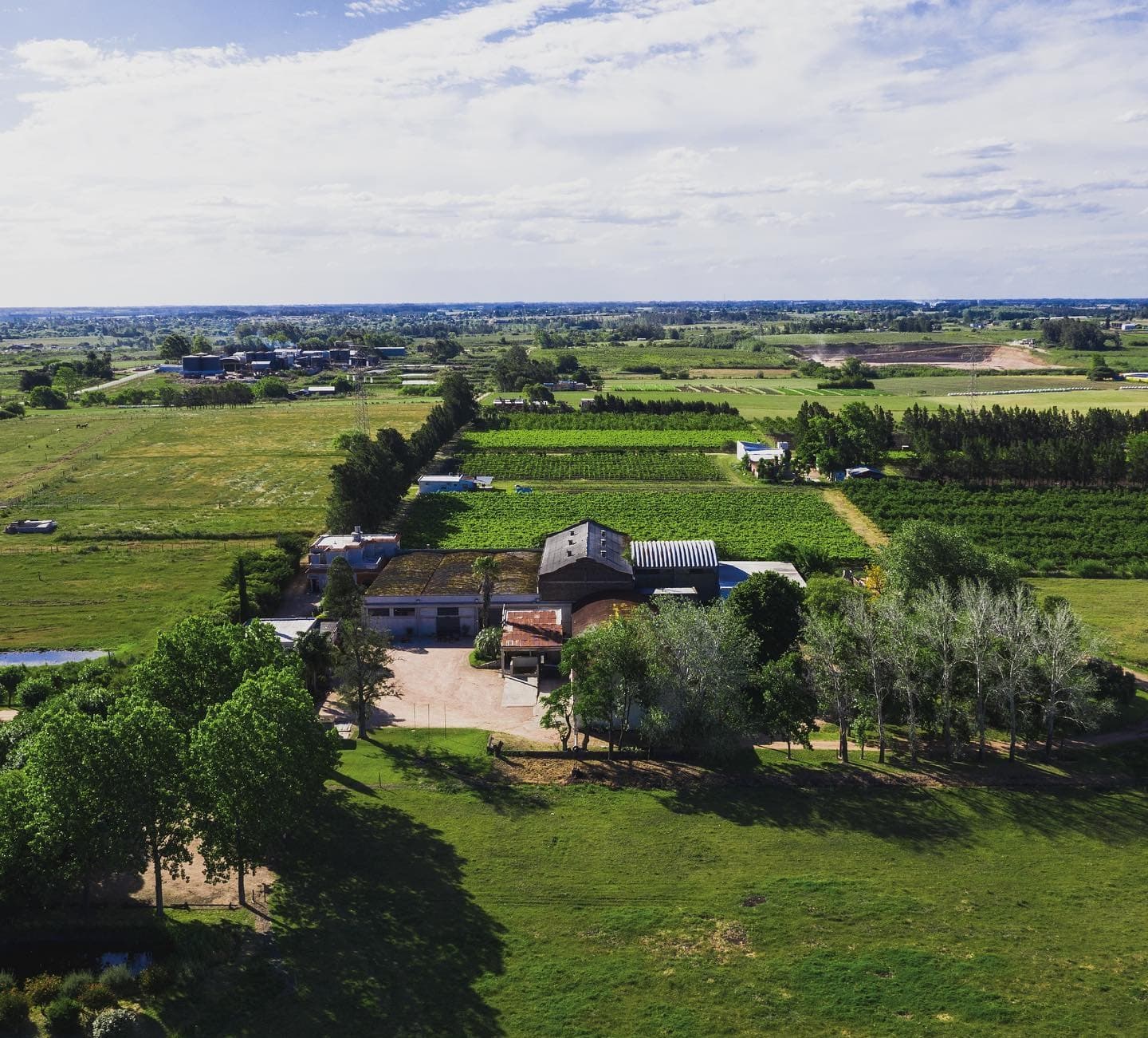 BODEGA CASTILLO VIEJO