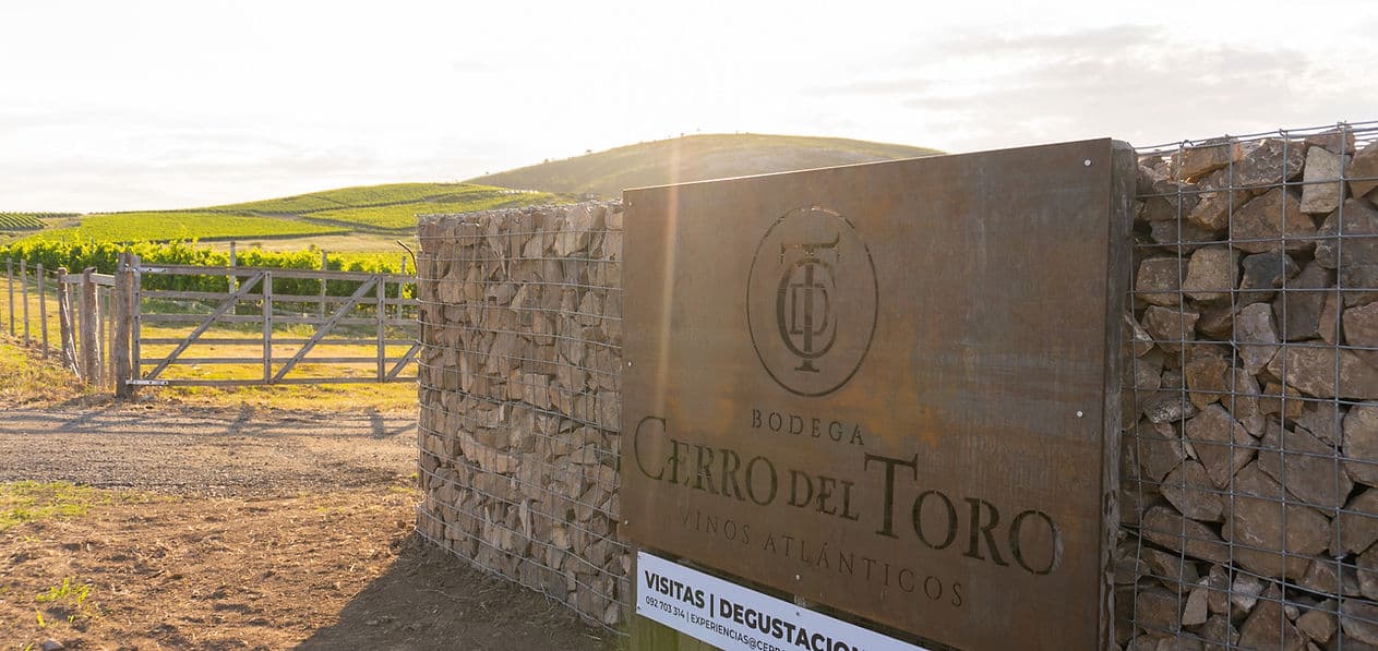 BODEGA CERRO DEL TORO