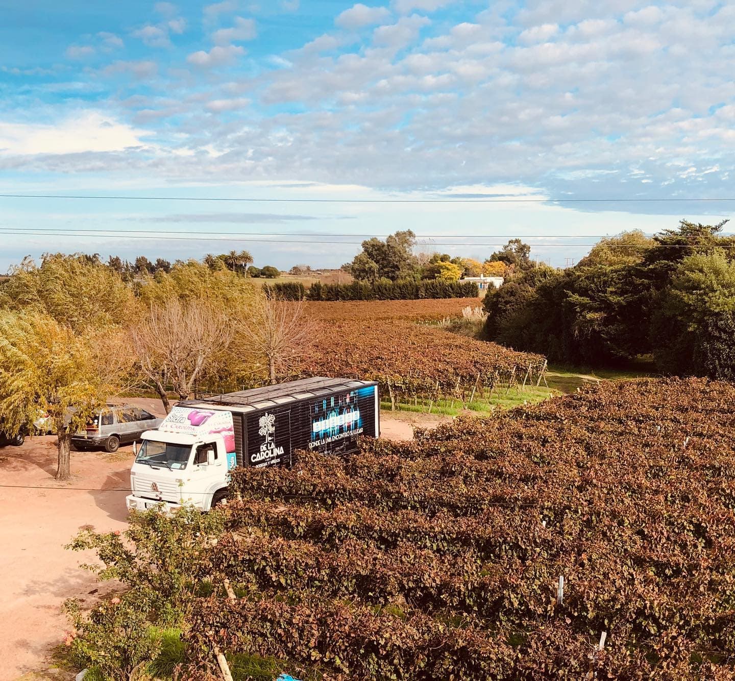 BODEGA DE LA CAROLINA