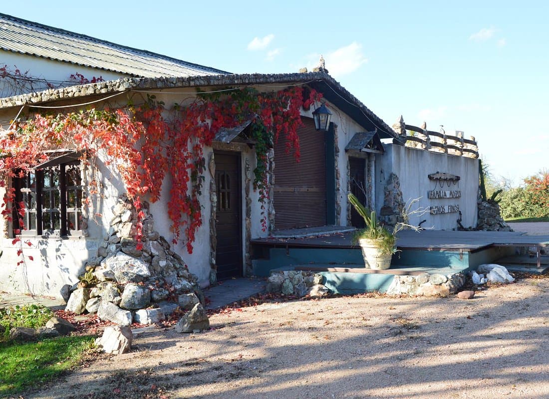 BODEGA FAMILIA MOIZO