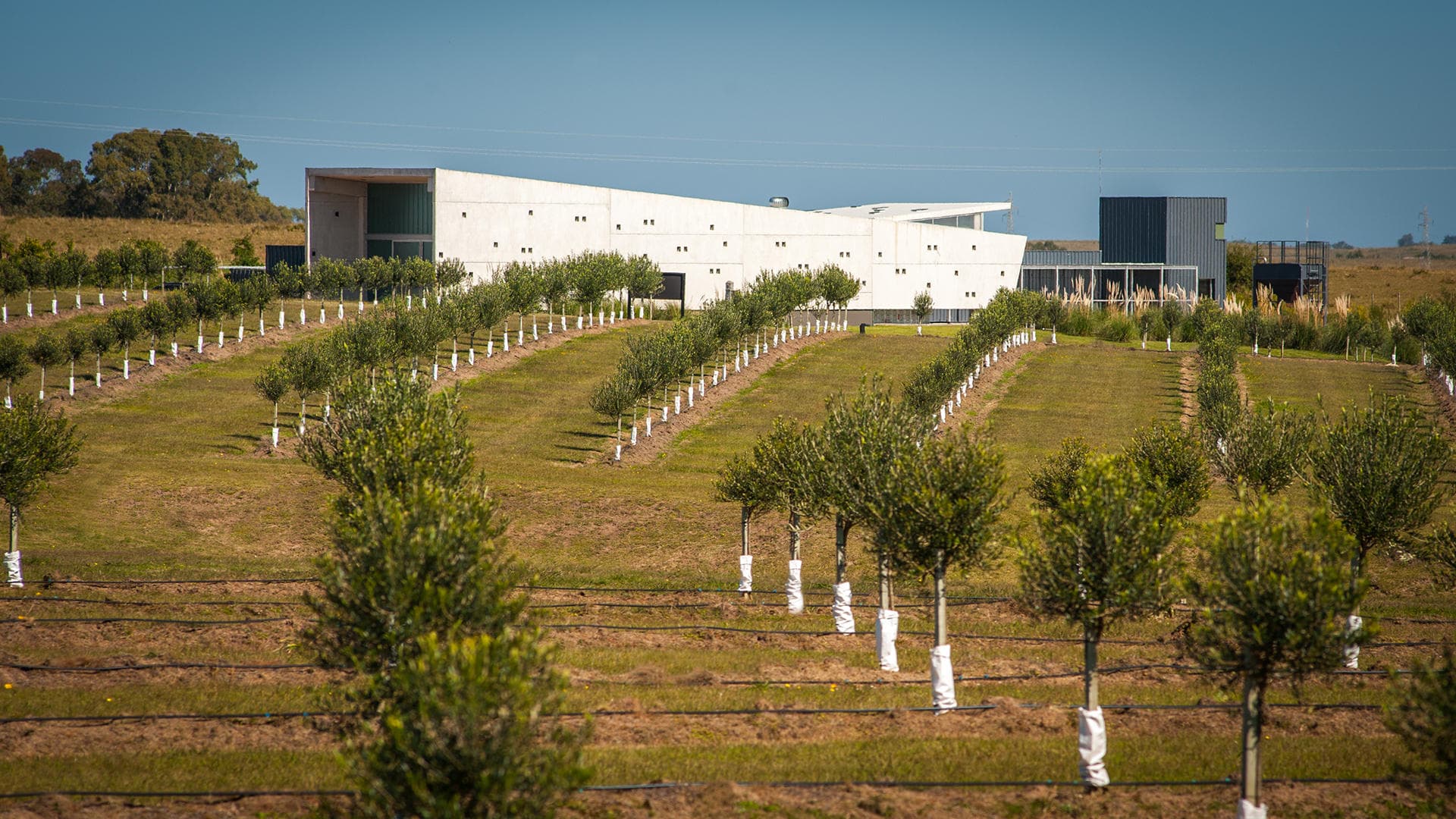 BODEGA OCEÁNICA JOSÉ IGNACIO