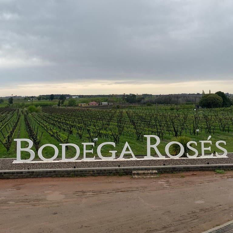 BODEGA ROSÉS