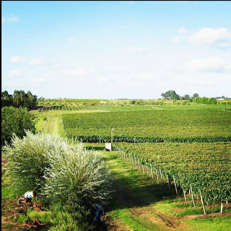 BODEGA TERCETTO