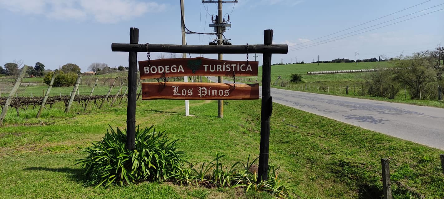 BODEGA TURÍSTICA LOS PINOS