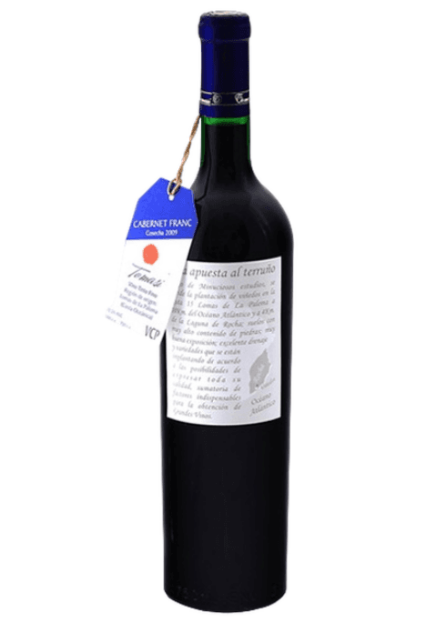 Bodega Tomasi Cabernet Franc 2009