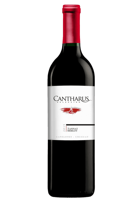 Cantharus Selección Tannat - Merlot