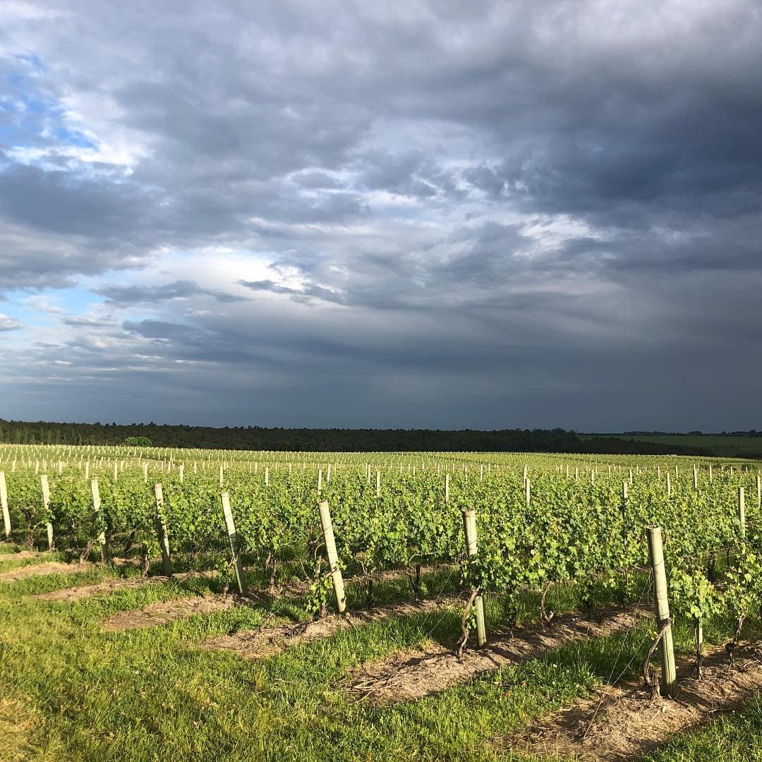 Imagen de fondo de bodegas