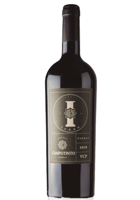 Bodega Campotinto Icono Tannat 2018