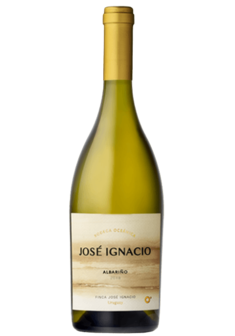 Oceánica José Ignacio Albarino 2018