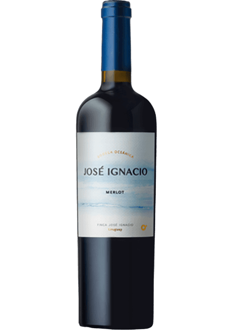 Oceánica José Ignacio Merlot