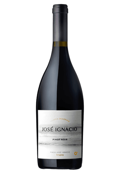 Oceánica José Ignacio Pinot Noir