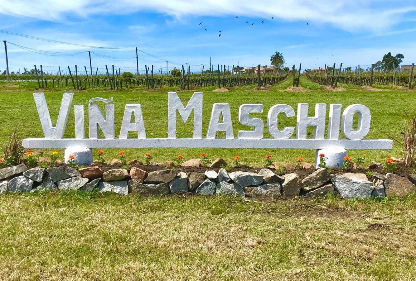 VIÑA MASCHIO