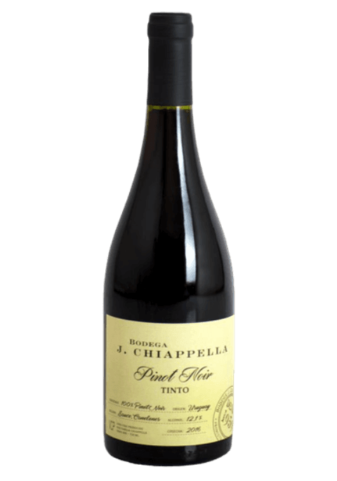 Bodega J. Chiappella Pinot Noir 2016